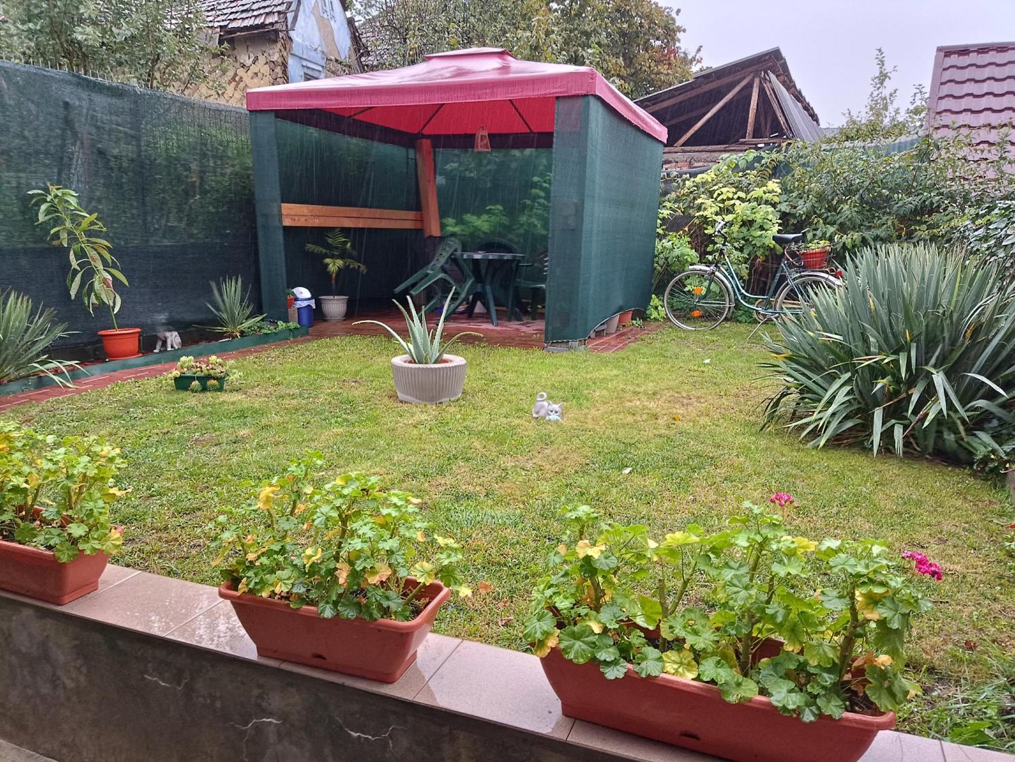 Casa Sahar Séjour chez l'habitant